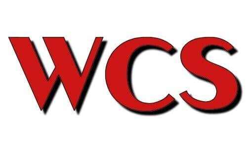 Wooldridge Consulting Services